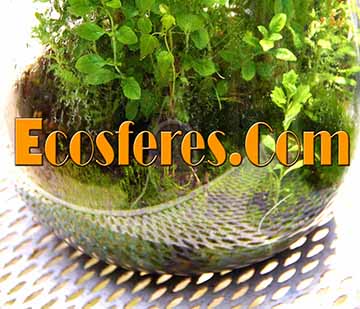 Ecosferes Miniature Living worlds Ecosferes by Dapacu