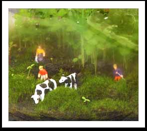 Ecosferes Miniature Living worlds Ecosferes by Dapacu